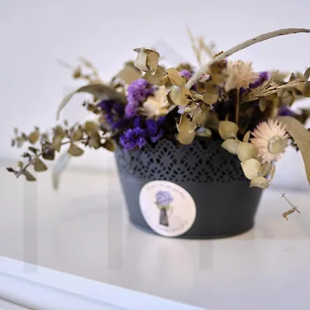 Campoamor Centro - Coqueto Con Wifi. Oviede