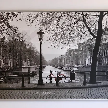 Campoamor Centro - Coqueto Con Wifi. Apartamento *